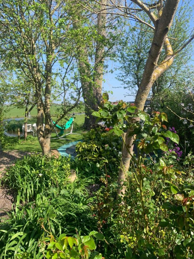 Very Nice Cottage In Durgerdam, With Private Garden, Free Parking, Pets Allowed 암스테르담 외부 사진
